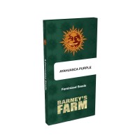 Ayahuasca Purple fem Ayahuasca Purple fem