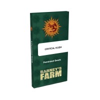 Critical Kush fem Critical Kush fem