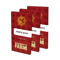 Runtz Auto Runtz Auto